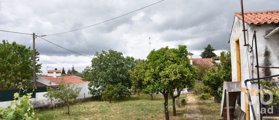 Farm T3 in Mouriscas of 183 m²