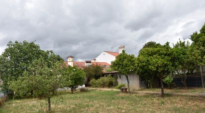 Farm T3 in Mouriscas of 183 m²