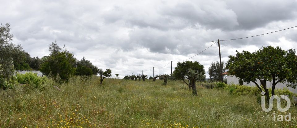 Ferme T3 à Mouriscas de 183 m²