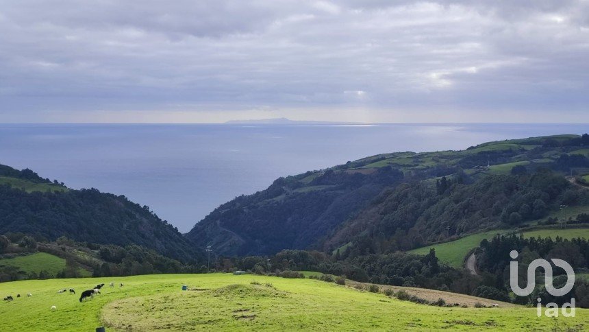 Terreno em Faial da Terra de 76 632 m²