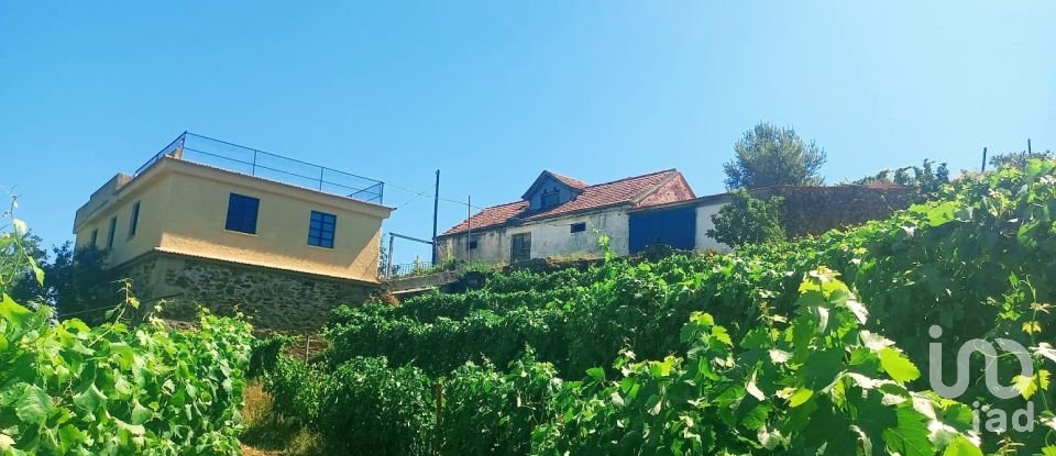 Quinta T3 em Cumieira de 251 m²