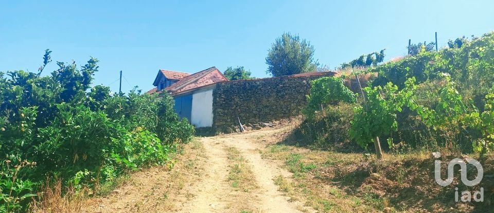 Farm T3 in Cumieira of 251 m²