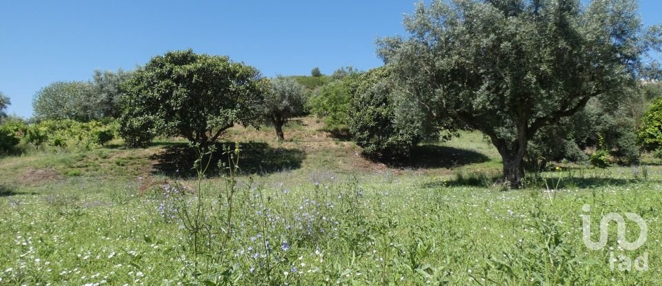 Building land in Tomar (São João Baptista) e Santa Maria dos Olivais of 9,545 m²