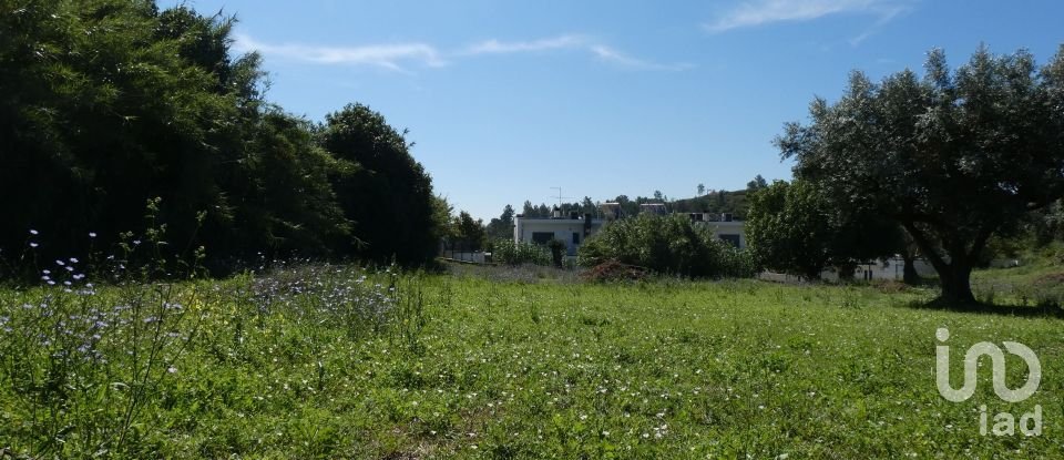 Building land in Tomar (São João Baptista) e Santa Maria dos Olivais of 9,545 m²