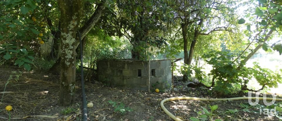 Building land in Tomar (São João Baptista) e Santa Maria dos Olivais of 9,545 m²