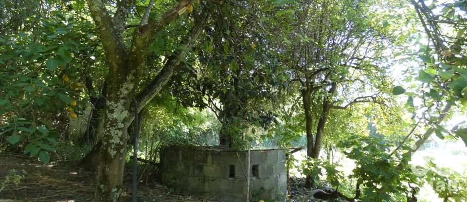 Terreno para construção em Tomar (São João Baptista) e Santa Maria dos Olivais de 9 545 m²