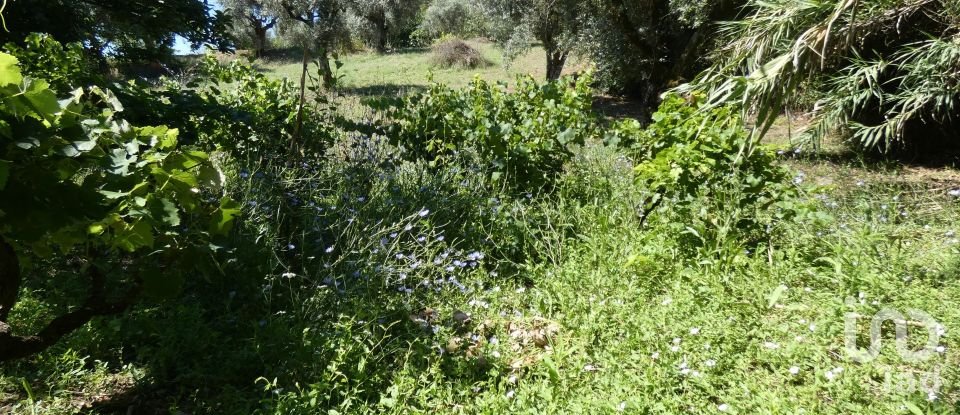 Building land in Tomar (São João Baptista) e Santa Maria dos Olivais of 9,545 m²