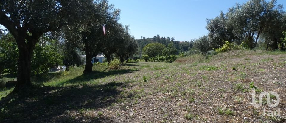 Building land in Tomar (São João Baptista) e Santa Maria dos Olivais of 9,545 m²