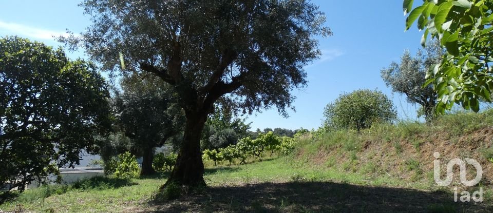 Building land in Tomar (São João Baptista) e Santa Maria dos Olivais of 9,545 m²