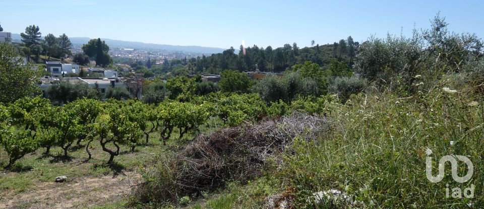 Building land in Tomar (São João Baptista) e Santa Maria dos Olivais of 9,545 m²