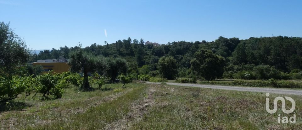 Building land in Tomar (São João Baptista) e Santa Maria dos Olivais of 9,545 m²