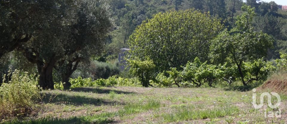 Building land in Tomar (São João Baptista) e Santa Maria dos Olivais of 9,545 m²