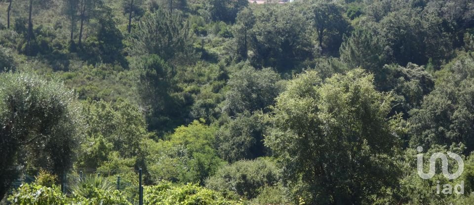 Terrain à bâtir à Tomar (São João Baptista) e Santa Maria dos Olivais de 9 545 m²