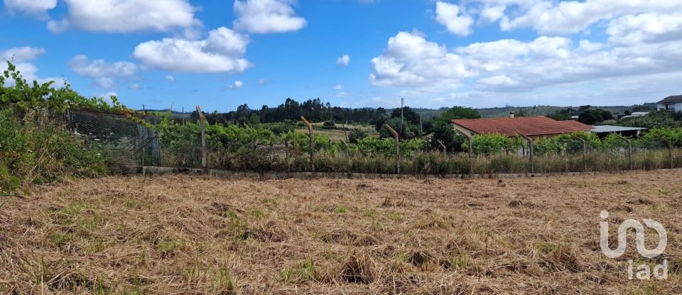 Terrain à Batalha de 1 047 m²