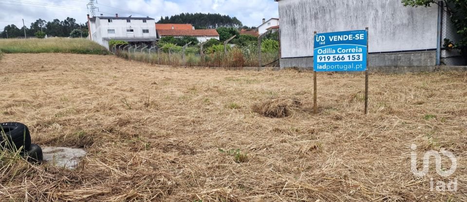 Terreno em Batalha de 1 047 m²