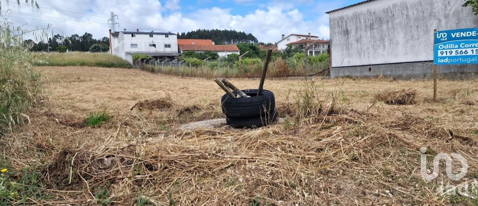 Terreno em Batalha de 1 047 m²