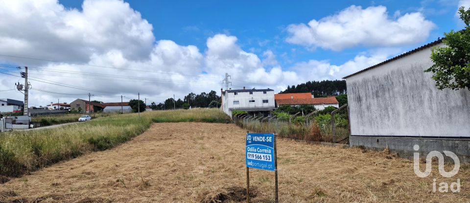 Terreno em Batalha de 1 047 m²