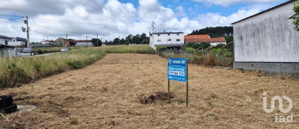 Terreno em Batalha de 1 047 m²