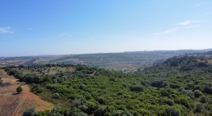 Land in Almoster of 30,000 m²
