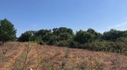Land in Almoster of 30,000 m²