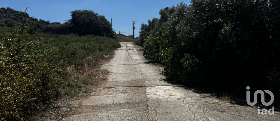 Terreno em Santo António dos Cavaleiros e Frielas de 32 000 m²