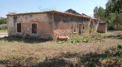Traditional house T6 in Rio Maior of 360 m²