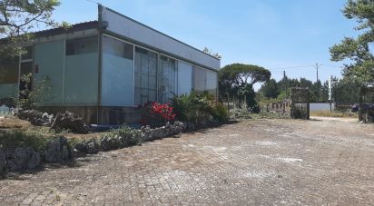 Quinta T11 em Abrigada e Cabanas de Torres de 1 720 m²