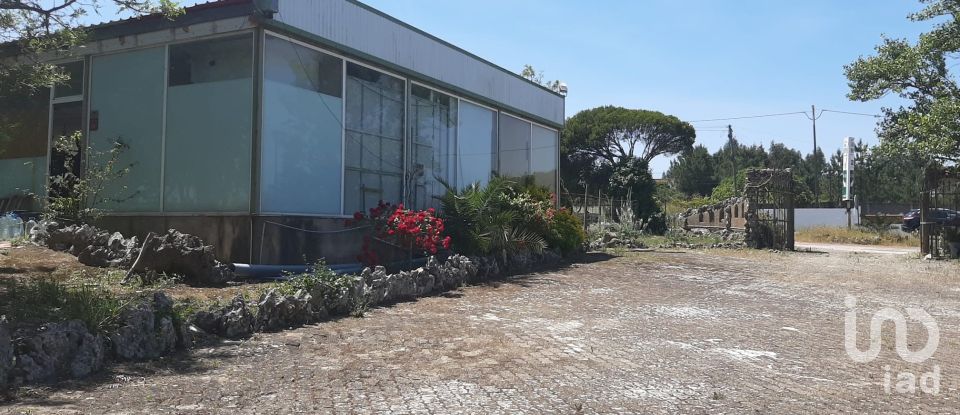 Quinta T11 em Abrigada e Cabanas de Torres de 1 720 m²