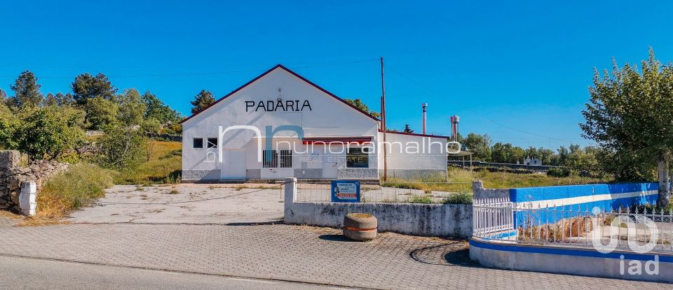 Loja / Estabelecimento Comercial em Vilar Formoso de 252 m²