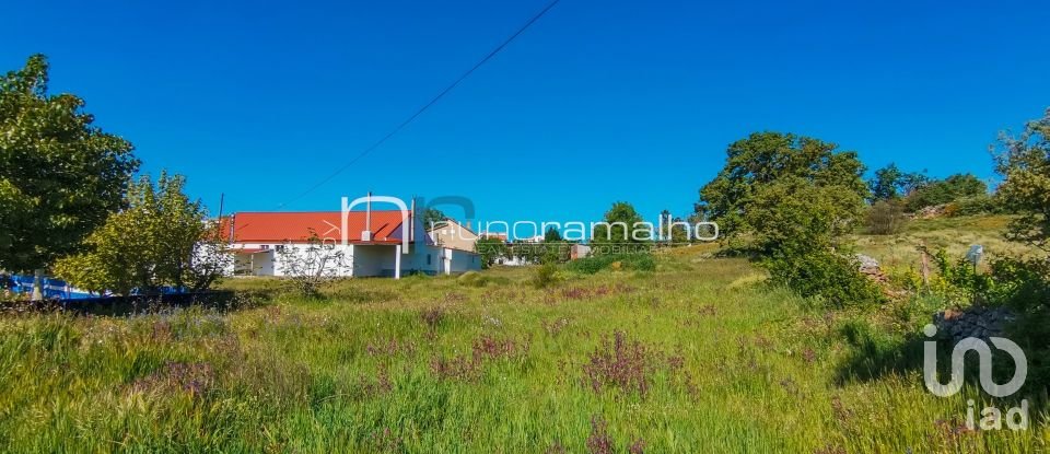 Loja / Estabelecimento Comercial em Vilar Formoso de 252 m²