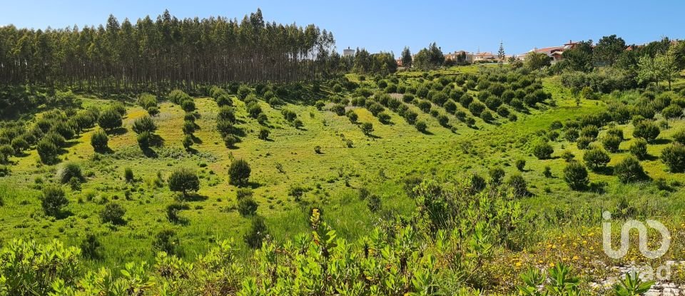 Terreno em Caldas da Rainha - Santo Onofre e Serra do Bouro de 639 m²