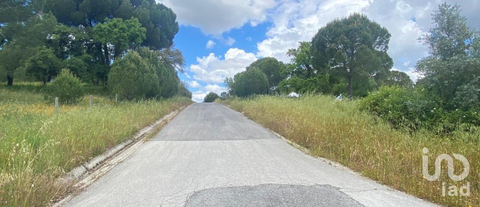 Terrain à Santo Estêvão de 24 690 m²