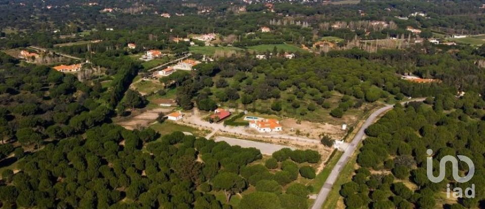 Land in Santo Estêvão of 24,690 m²