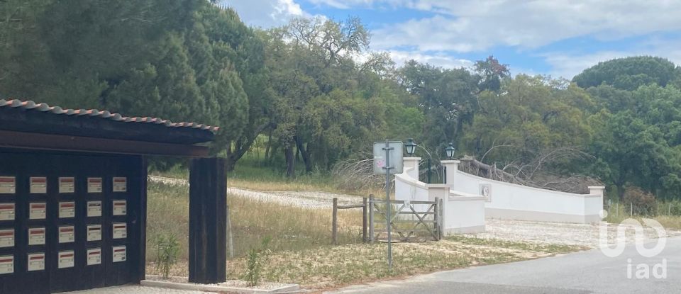 Terreno em Santo Estêvão de 24 690 m²