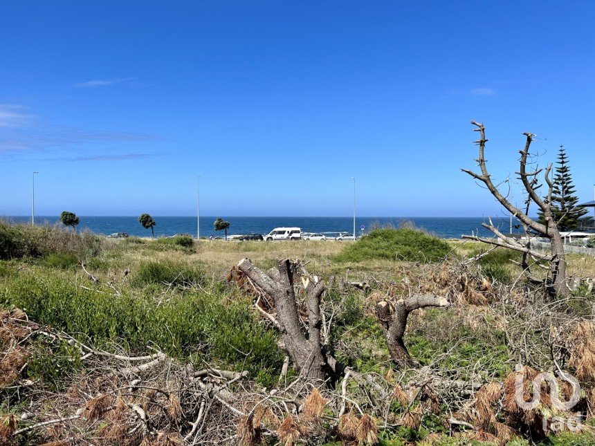 Land in Vila Praia de Âncora of 3,300 m²