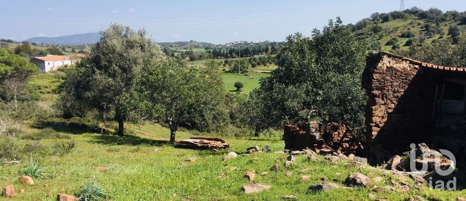 Terreno para construção em Mexilhoeira Grande de 195 520 m²