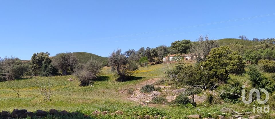 Terreno para construção em Mexilhoeira Grande de 195 520 m²