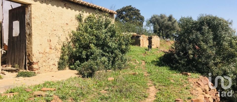 Terreno para construção em Mexilhoeira Grande de 195 520 m²