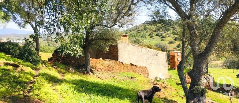 Terreno para construção em Mexilhoeira Grande de 195 520 m²