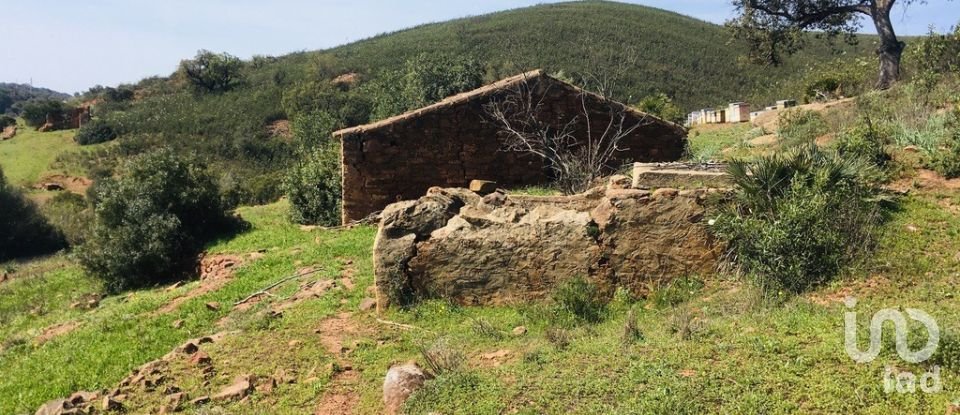 Terreno para construção em Mexilhoeira Grande de 195 520 m²