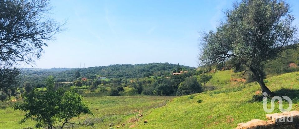 Terreno para construção em Mexilhoeira Grande de 195 520 m²