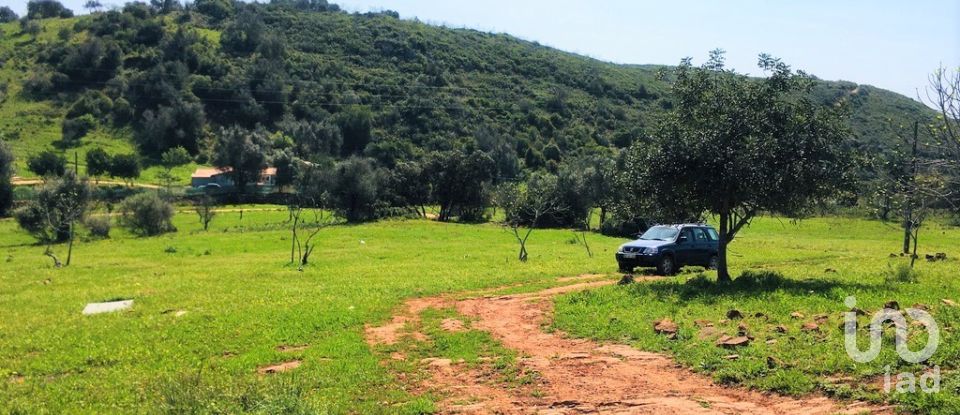 Terreno para construção em Mexilhoeira Grande de 195 520 m²