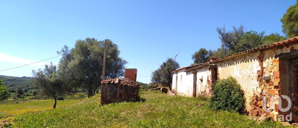 Terreno para construção em Mexilhoeira Grande de 195 520 m²