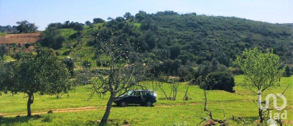 Terreno para construção em Mexilhoeira Grande de 195 520 m²