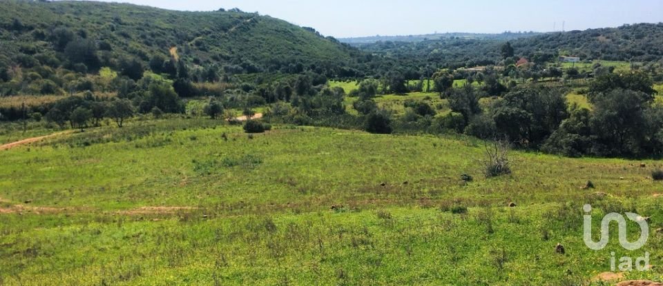 Building land in Mexilhoeira Grande of 195,520 m²