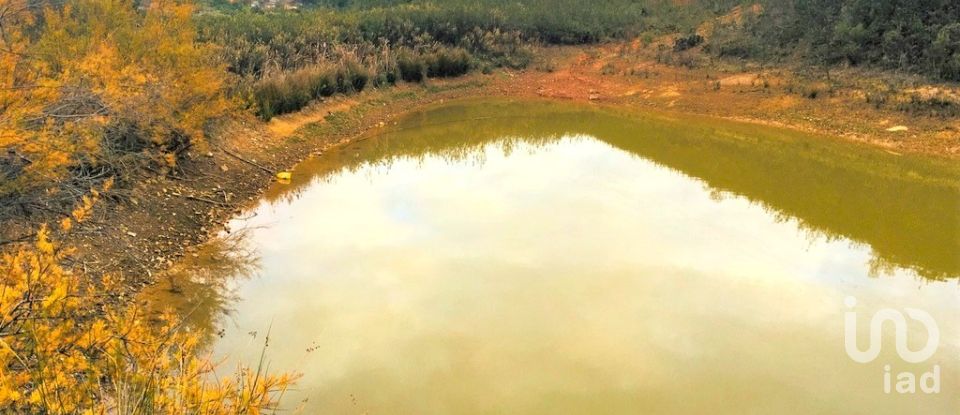 Terreno para construção em Mexilhoeira Grande de 195 520 m²