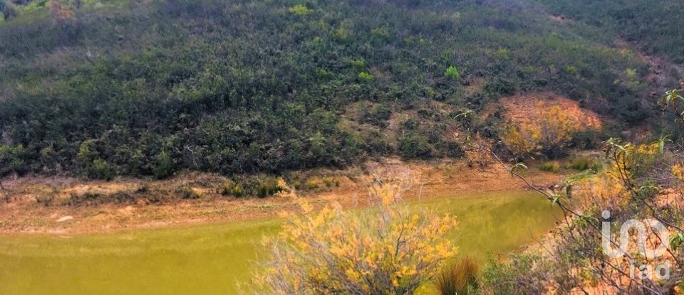 Terreno para construção em Mexilhoeira Grande de 195 520 m²