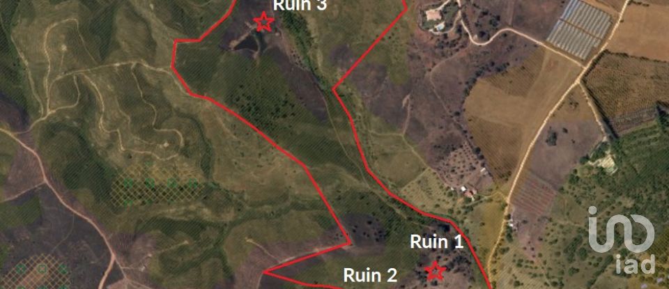 Terreno para construção em Mexilhoeira Grande de 195 520 m²