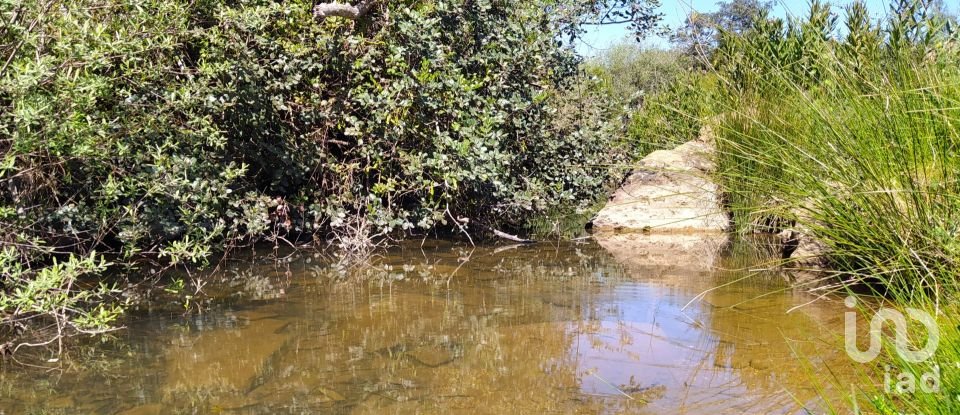 Terreno para construção em Mexilhoeira Grande de 195 520 m²