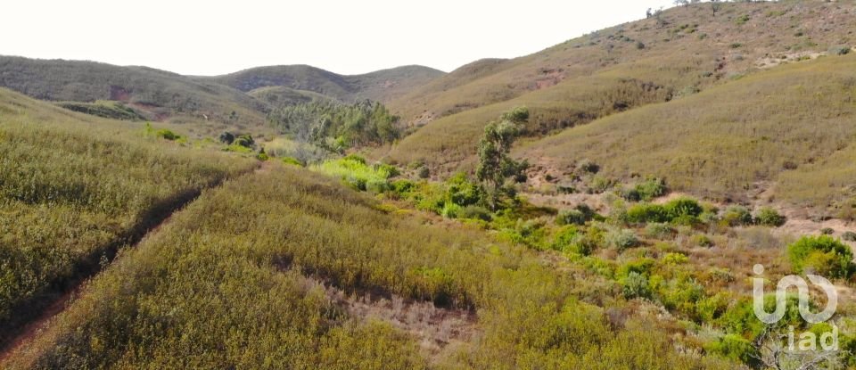 Building land in Mexilhoeira Grande of 195,520 m²